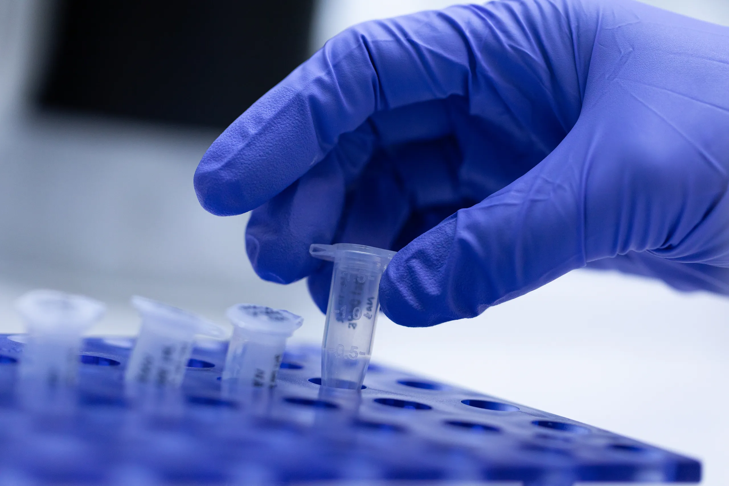CIRN studies and research